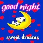 Good night, sweet dream