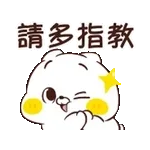 貓咪朋友 可可愛愛