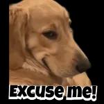 
                            🌈Flork Mix 4🧦TOP STICKERS