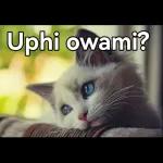 Sengiya ku vuma. I yes you.