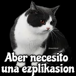 nedR4a
