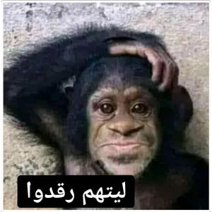 Dro7Eo