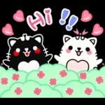 Hi