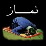 ببببببببببب