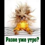 Доброе утро 