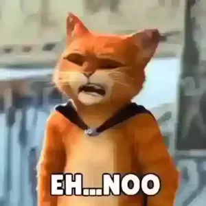 OK6R2e