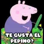 Ya cállese, Señora