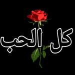 من الذي فاتك؟