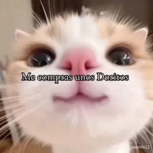 SGd1JD