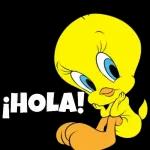 piolin