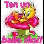 Ya no me quieres o que!!?