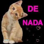 Buenos Días