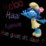 Heloo
Haai
Koewie
Hoe gaan dit daar?