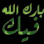 بارك الله فيك 