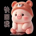 小猪熊好可爱啊