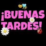 buenas tardes