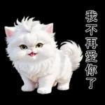白色的貓尤其可愛