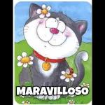 GATICOS 