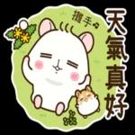 倉鼠阿暖＜春天＞ 2