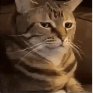 dDXAd9