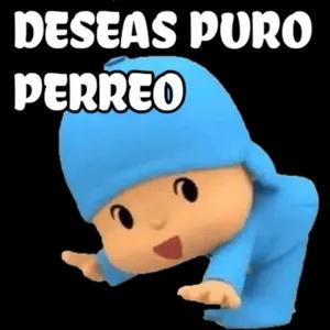 nw5cqv