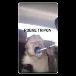 POBRE TRIPON