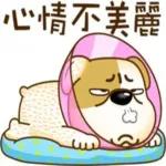 好敢講，真不要臉！！