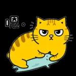 驚不驚喜？意不意外？