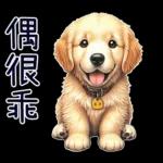 好黃金獵犬-微白目篇
