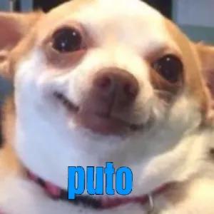JVisDC
