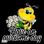 000
Good Night