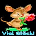 beliebte Glücksbringer