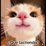 Ya me enoje