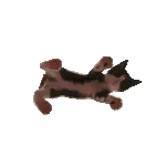 Stranger Things is coming！1