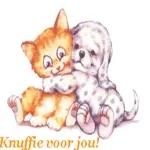 Bear's expressiepakket