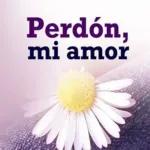 Buenas noches mi amor