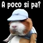 te enojaste?