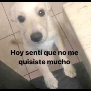 Hoy sentí que no me quisiste mucho - getsticker.com