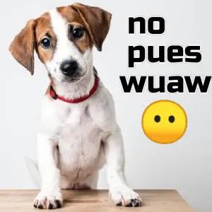 IZGdju