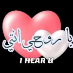 اللَّهُ أَكْبَرُ كَبِيرًا  وَالْحَمْدُ لله كَثِيرًا  وَسُبْحَانَ الله بُكْرَةً وَأَصِيلًا