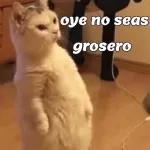 Cuando vos puedas