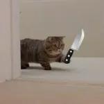 골드브라운 토피넛 라떼