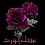 انت الان متصل صلي على النبي