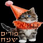 Purim Sameach