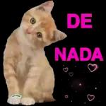 FUERZA AEREARECIBIDO
