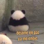 No puta