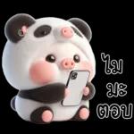 หมูแพนด้าน่ารักจังเลย