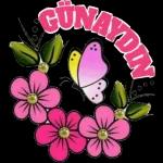 yakup1970ciftci@gmail.com