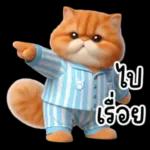 แมวขี้โมโหในชุดนอนสีอ่อน