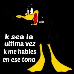 ksea la ultima vez k me hables en ese tono HH - getsticker.com